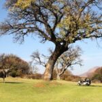 Seasons Lifestyle Estate 3