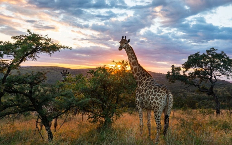 Summer in South Africa