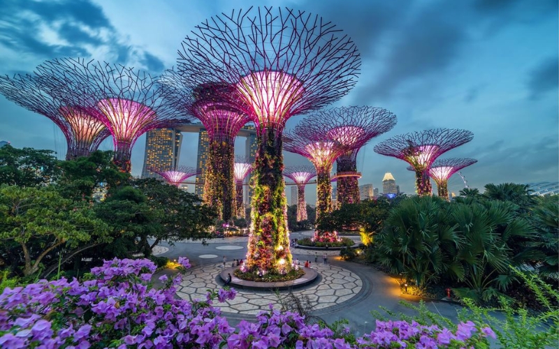 Gardens by the Bay