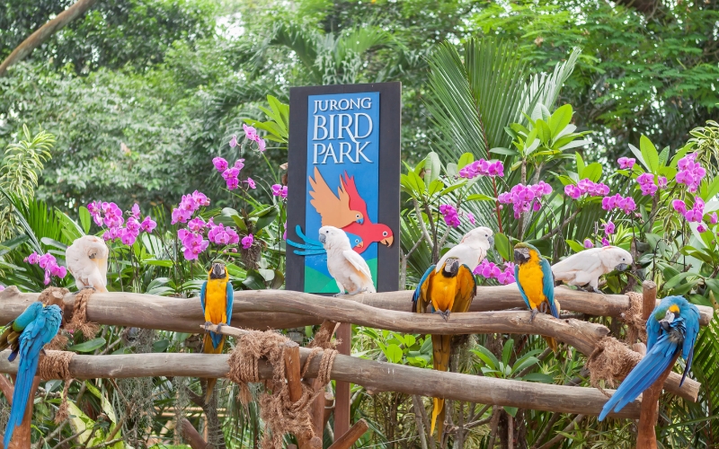 Jurong Bird Park