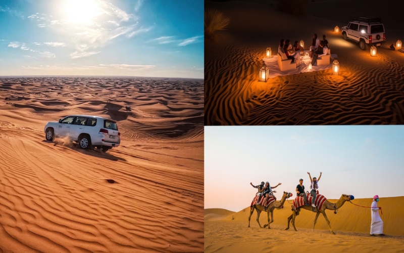 must-try activities in Safari Desert