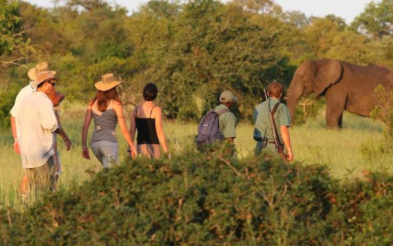 Walking safari in Kruger National Park