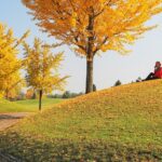 Guilin Merryland Golf - Hilly Course