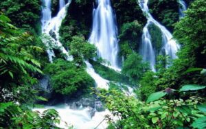 Shennongjia National Park