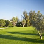 Aroma Golf Club