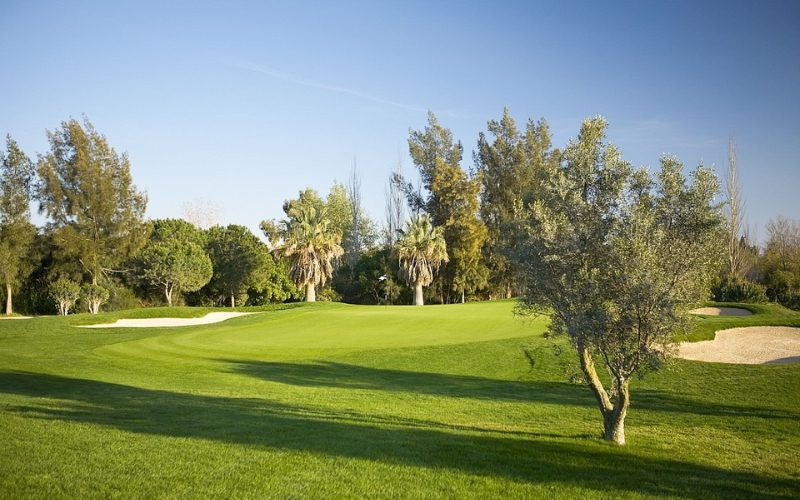 Aroma Golf Club