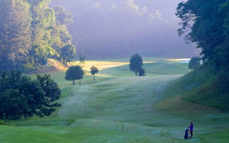 Henan Synear Golf Club