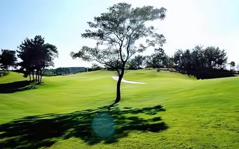 Nanchang Poly Golf Club