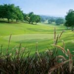 Nandaihe Forest Golf Club