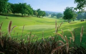 Nandaihe Forest Golf Club