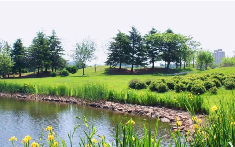 Qingdao International Golf Club