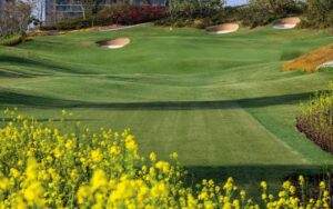 Chongqing 6 Days Golf Package