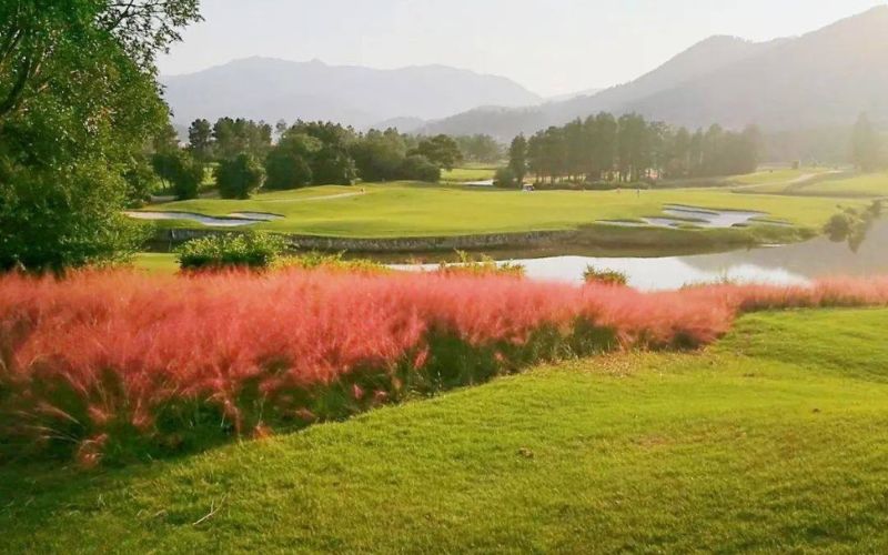 Fujian golf tour 5 day