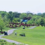 Qingdao International Golf Club