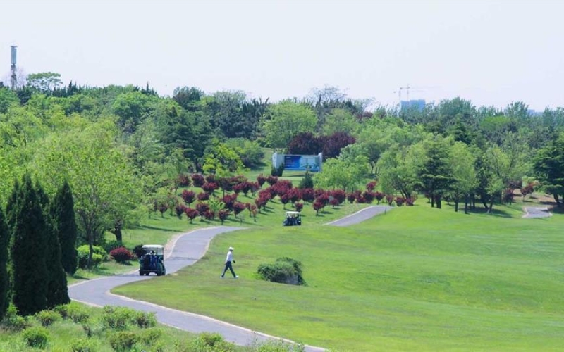 Qingdao International Golf Club