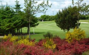 Qingdao International Golf Club