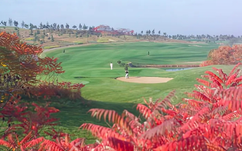 Qingdao International Golf Club