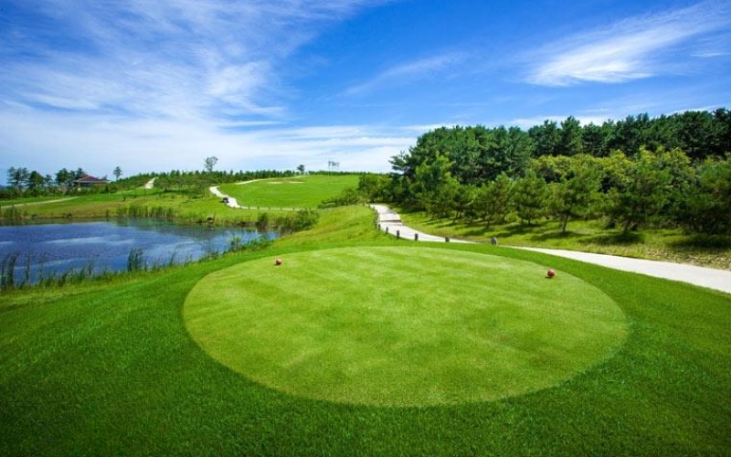 Weihai Weigao Tianan Golf Club