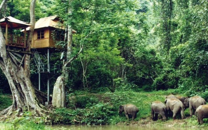 Xishuangbanna Wild Elephant Valley Golf Club