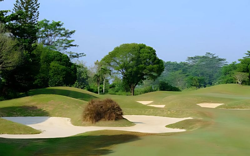 A scenic view of Tamora Golf Club with lush green fairways, trees in the background, and clear skies.