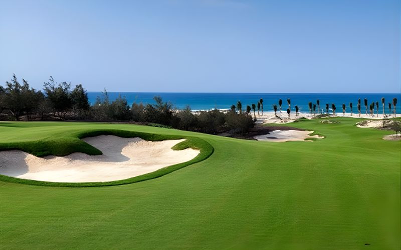 Beautiful seaside golf course at FLC Quy Nhon Golf Links with sand bunkers and ocean backdrop.