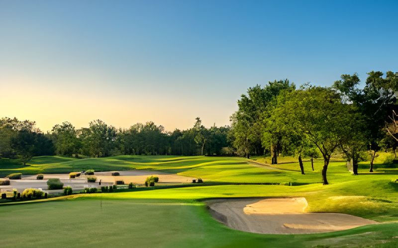 Beautiful view of Springfield Royal Country Club golf course in Thailand, featuring manicured greens, sand bunkers, and trees glowing under the warm evening sunlight.