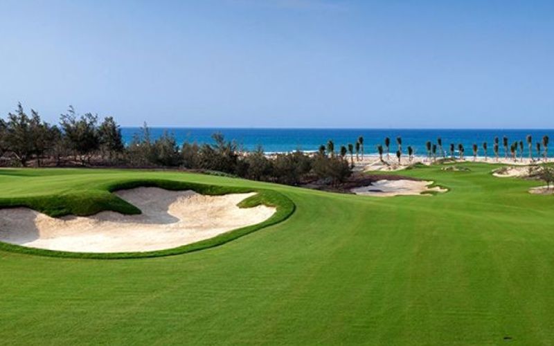 A scenic hole at FLC Quy Nhon Golf Links, showing a green fairway, a large sand bunker, and the ocean coastline with palm trees in the background.