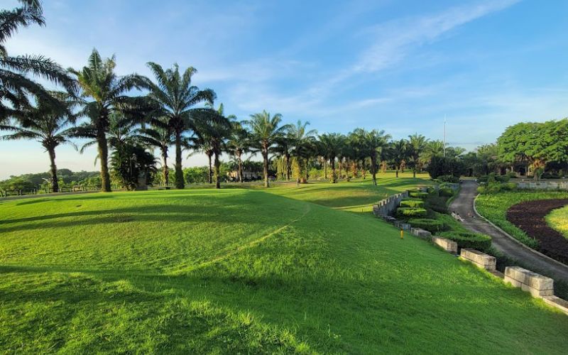 Green fairway at Long Thanh Golf Club lined with palm trees and manicured landscaping under a bright blue sky.