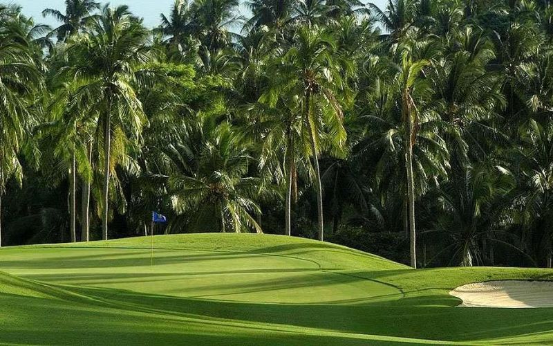 Scenic view of Santiburi Samui Golf Club, featuring a lush green fairway surrounded by tall palm trees under a bright sky.