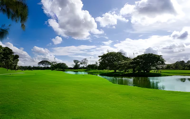 Sunny view of Stardome Golf Club in Chiang Mai with bright green fairways, scattered trees and a calm lakeside under a blue sky with white clouds.