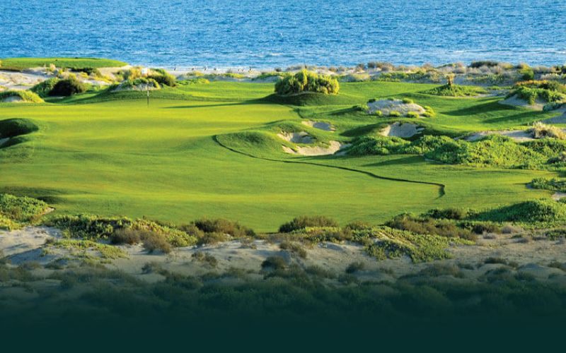 Ocean Course at FLC Golf Links Quy Nhon featuring coastal fairways and panoramic sea views along the shoreline.